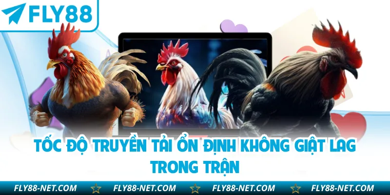 Tốc độ truyền tải ổn định không giật lag trong trận