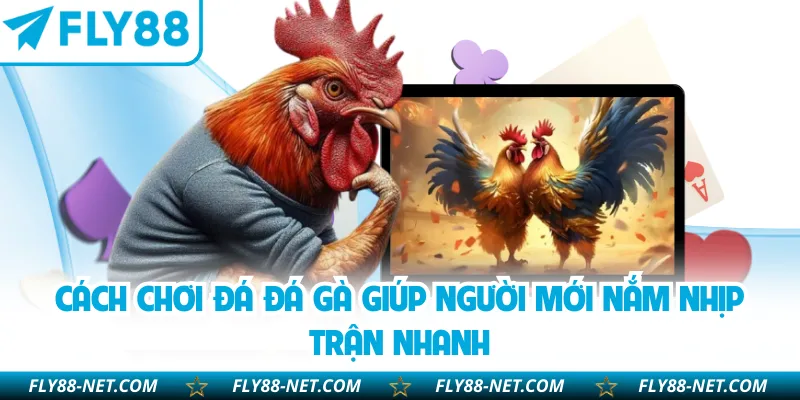 Cách Chơi Đá Đá Gà Giúp Người Mới Nắm Nhịp Trận Nhanh